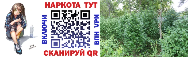 Как найти наркотики Новая Ладога Альфа ПВП  Меф мяу мяу  ГАШИШ  Бошки Шишки 