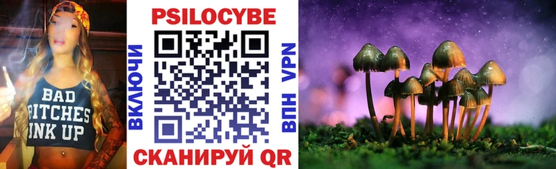 Галлюциногенные грибы мицелий  мориарти Telegram  Новая Ладога 