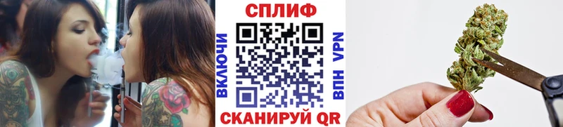 Бошки марихуана OG Kush  Новая Ладога 